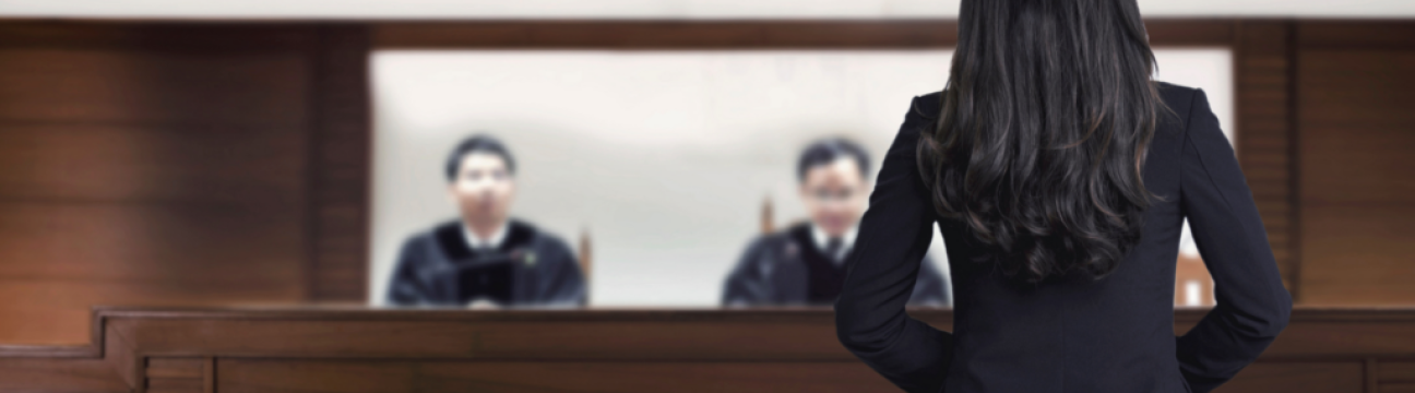 Female Attorney Networking Group